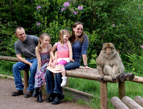 Monkey Forest Lifestyle